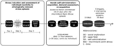 Individual Vulnerability to Stress Is Associated With Increased Demand for Intravenous Heroin Self-administration in Rats